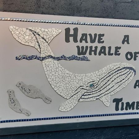 Whale Watch Accommodation De Kelders Esterno foto